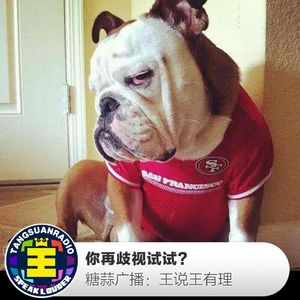 王说王有理：你再歧视试试？