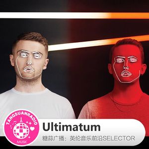 糖蒜爱音乐之The Selector：Ultimatum