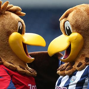 【吸血鬼日记】 “请你搞搞清楚。”