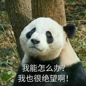 清空购物车：这鼻炎是好不了吗？