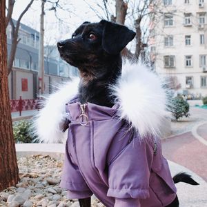 清空购物车：吃根冰棍暖和缓和吧！