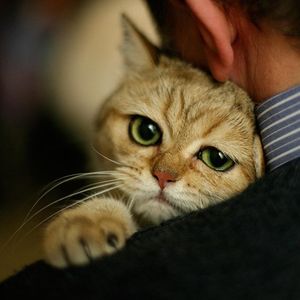 【绝望的主妇】“我只是可怜你罢了。”