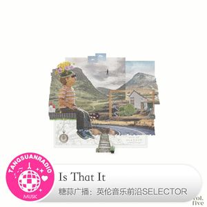 Is That It·糖蒜爱音乐之The Selector