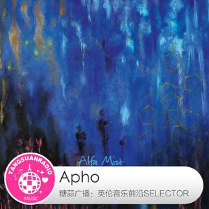 Apho·糖蒜爱音乐之The Selector