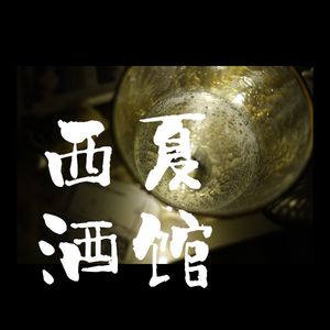 小酒馆vol.38 对“不可理论”的非理论研究