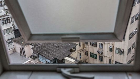 019. 你的砒霜，我的蜜糖——港漂二人转