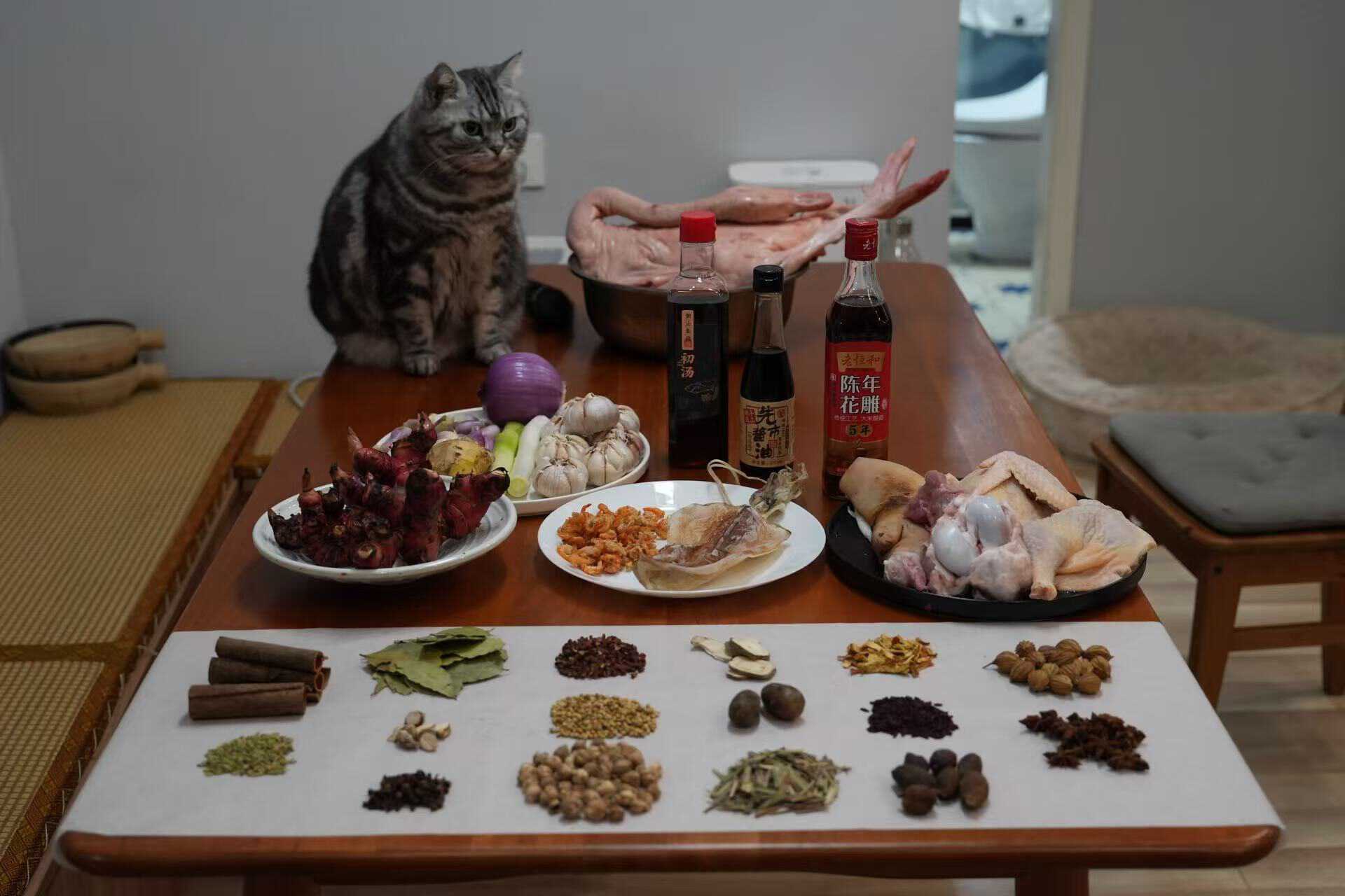 aHR0cHM6Ly91cGxvYWRlci5zaGltby5pbS9mL3lqRnVPaUhzS0libW82WmQuanBnIXRodW1ibmFpbD9hY2Nlc3NUb2tlbj1leUpoYkdjaU9pSklVekkxTmlJc0ltdHBaQ0k2SW1SbFptRjFiSFFpTENKMGVYQWlPaUpLVjFRaWZRLmV5SmxlSEFpT2pFM056UXhNRGd3TmpVc0ltWnBiR1ZIVlVsRUlqb2lWMnhCY21ReGVuaDJXRk0zYlRCeE1pSXNJbWxoZENJNk1UYzNOREV3TnpjMk5Td2lhWE56SWpvaWRYQnNiMkZrWlhKZllXTmpaWE56WDNKbGMyOTFjbU5sSWl3aWNHRmhJam9pWVd4c09tRnNiRG9pTENKMWMyVnlTV1FpT2pRNE1ESTJNek45LlRlTXFTeEE2ZkVUODVFYzctMVZvQ3QtcGJ3UXY0VVgxeThmc2h6NmhFblE=