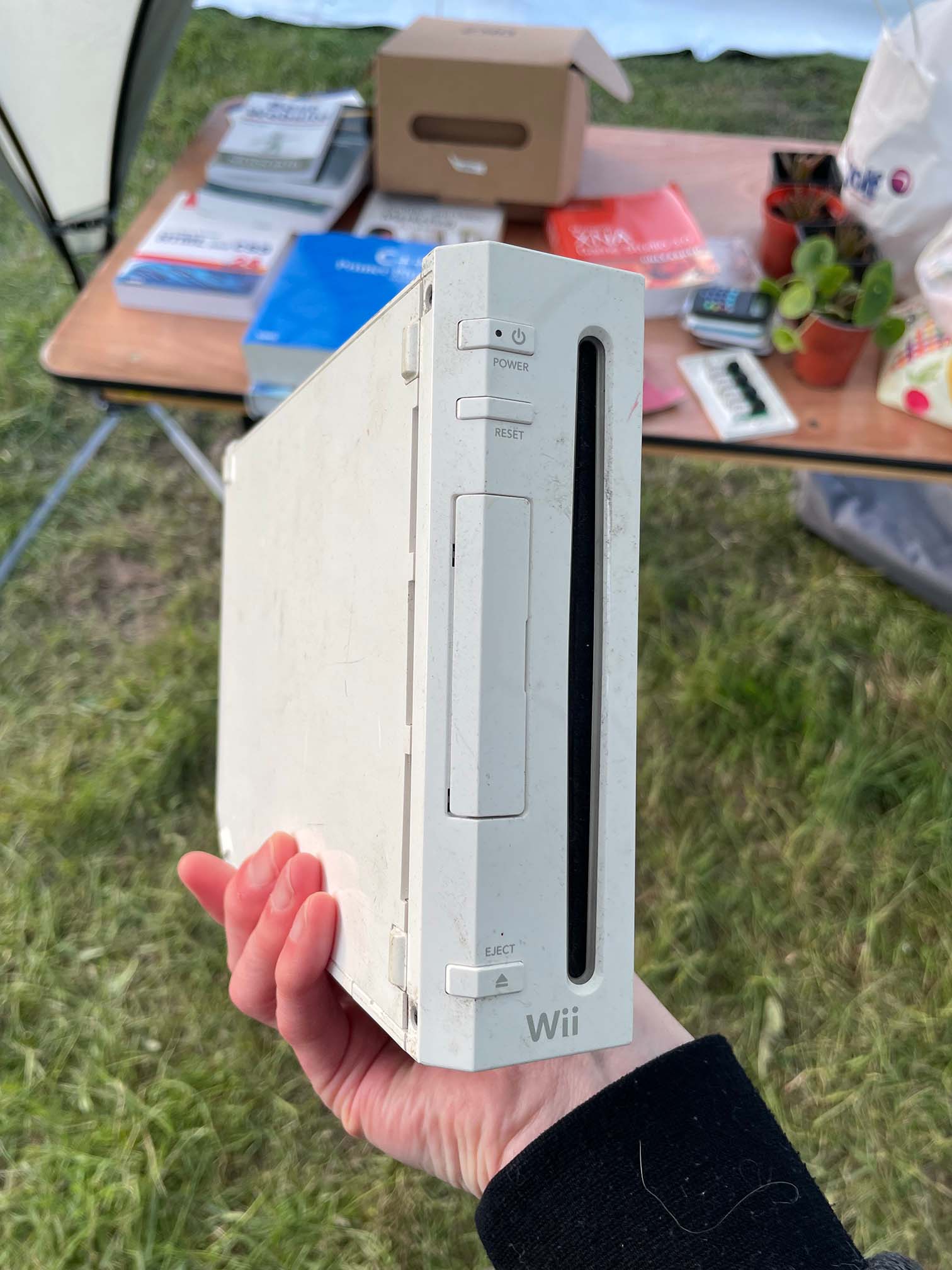 Blog hosted on a Nintendo Wii