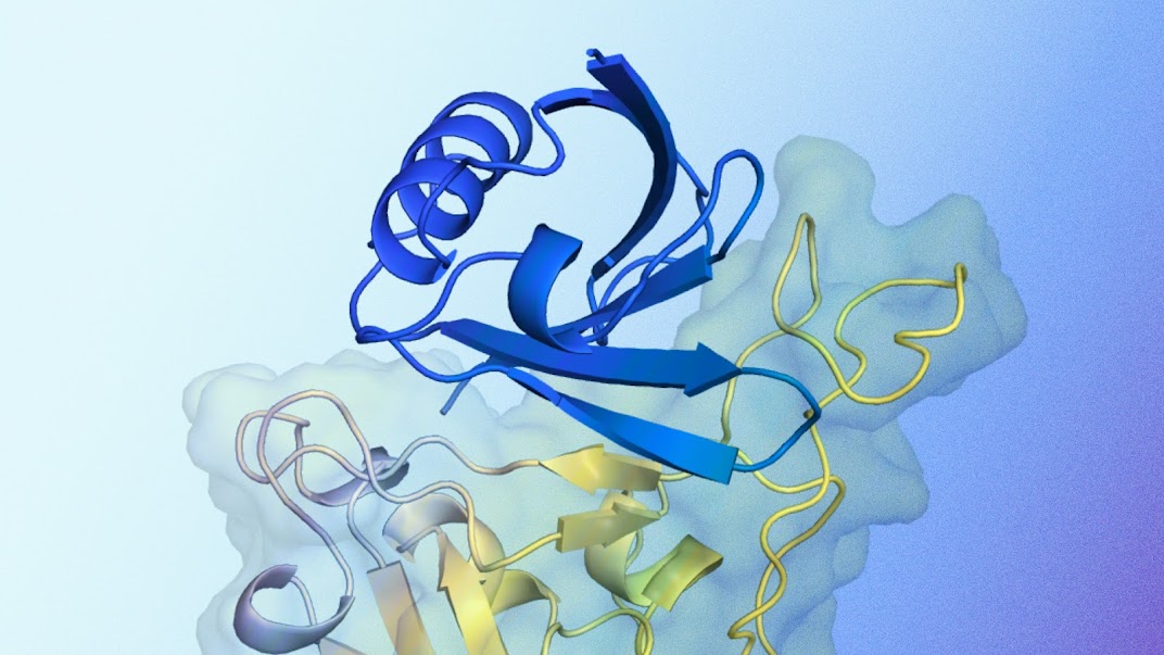 AlphaProteo generates novel proteins for biology and health