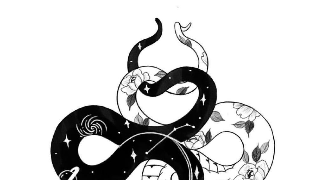 《Homo Iconic Python》封面