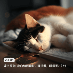 Vol. 86 读书系列: 小白如何理财，睡得着，睡得香？(上)