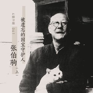 被遗忘的国宝守护人张伯驹（上） - 4排9座 Vol.061