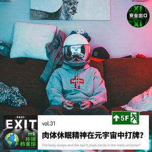 vol.31 探索元宇宙：肉体休眠精神在元宇宙中打牌？