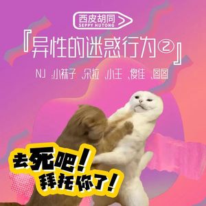 VOL234.异性的迷惑行为（女生版）| 你们男的怎么回事？