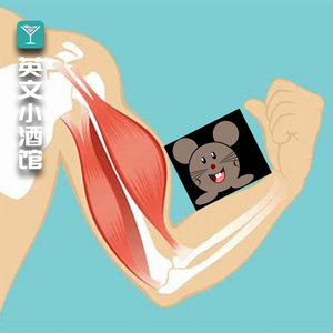 《词源考古研究所》-“muscle”"mussel"傻傻分不清楚?嗯,跟老鼠有关