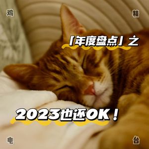 VOL 085丨「年度盘点」之2023也还 OK（上）