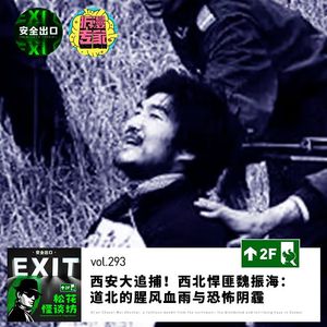 vol.293 西安大追捕！西北悍匪魏振海：道北的腥风血雨与恐怖阴霾（拆漫专家）