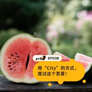 EP238：用“City”的方式，度过这个苦夏！