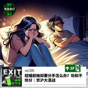 vol.335 结婚前她却要分手怎么办？劝和不劝分｜京沪大混战