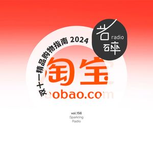 vol.156 双十一精品购物指南2024-岩碎电波