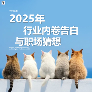 三好乱弹 - 2025年行业内卷告白与职场猜想