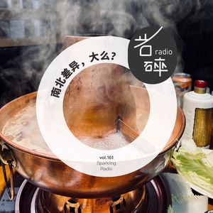 vol.161 南北差异,大么？-岩碎电波