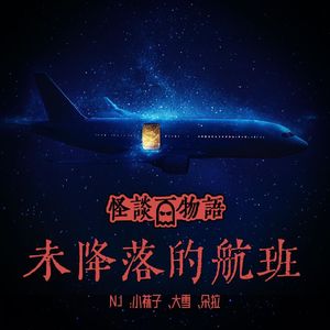 VOL358.未降落的航班 | 30小时的恐怖轮回