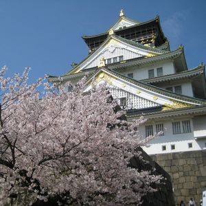 nana在日本