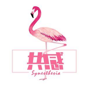 共感공감