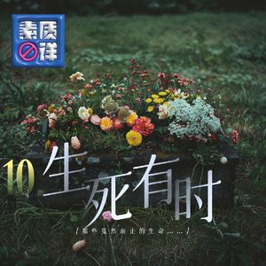 10. 生死有时，那些戛然而止的生命