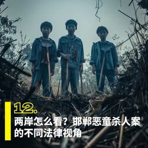 12. 两岸怎么看？邯郸恶童杀人案的不同法律视角