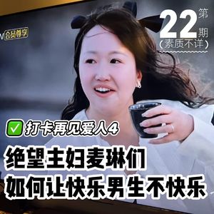 22. 绝望主妇麦琳们，如何让快乐男生不快乐 | 聊聊再见爱人