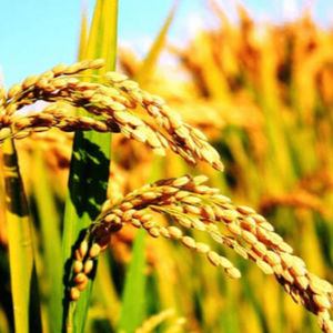 第32个故事：珊越100期——你，我，我们的故事