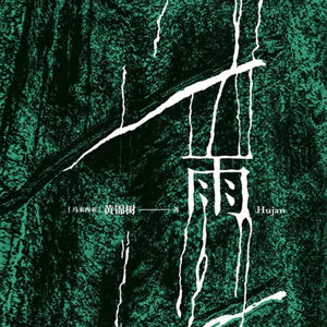 第77本书:黄锦树与《雨》