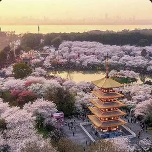 特别节目：春天来了