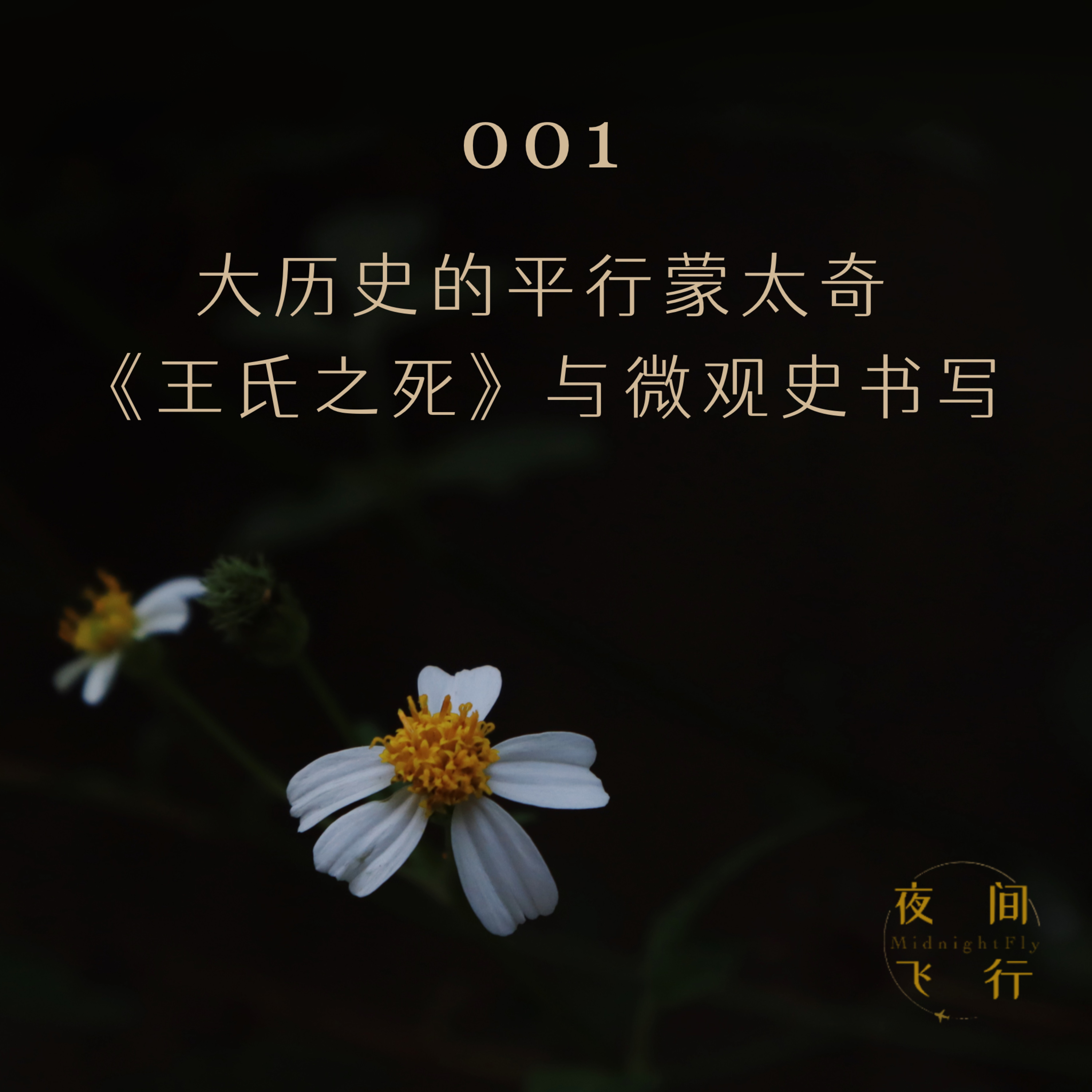 夜间飞行midnight Fly 小宇宙 听播客 上小宇宙