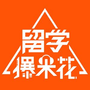 案例|高考失误，如何“三保险”申请留学？