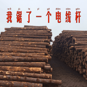 我锯了一个电线杆