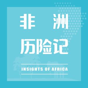 非洲历险记|非洲出海指南