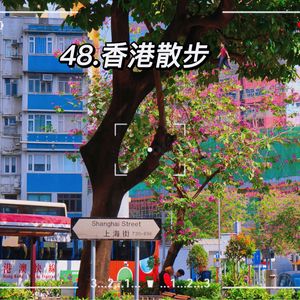 48.去香港，在山与海与城间散步吧！