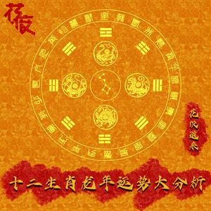 十二生肖龙年运势大分析｜花饺道来