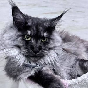 八方斋·干活听 | 真实故事·历史点滴