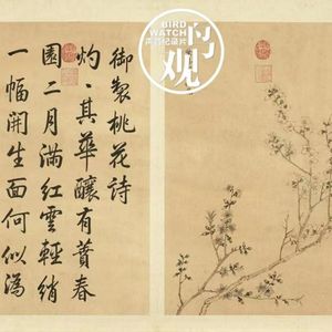 惊蛰三候:桃始华 |仓庚鸣 | 鹰化为鸠