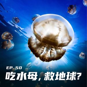 EP50 吃水母也能拯救地球？环保海鲜学小讲堂