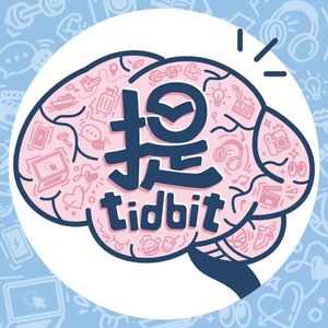 Tidbit提点别的