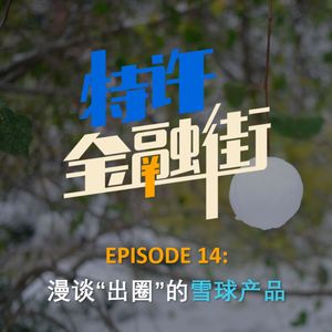 EPISODE 14：漫谈 “出圈” 的雪球产品