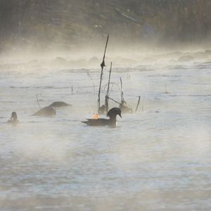 三伏忆三九：拒马河畔冬日仙境
