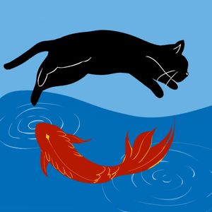 锦鲤与猫
