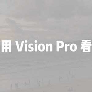 80.用VisionPro看2024