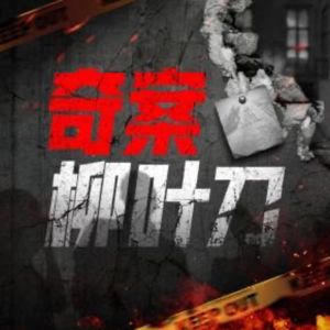 奇案柳叶刀 | 悬疑惊悚大案解析
